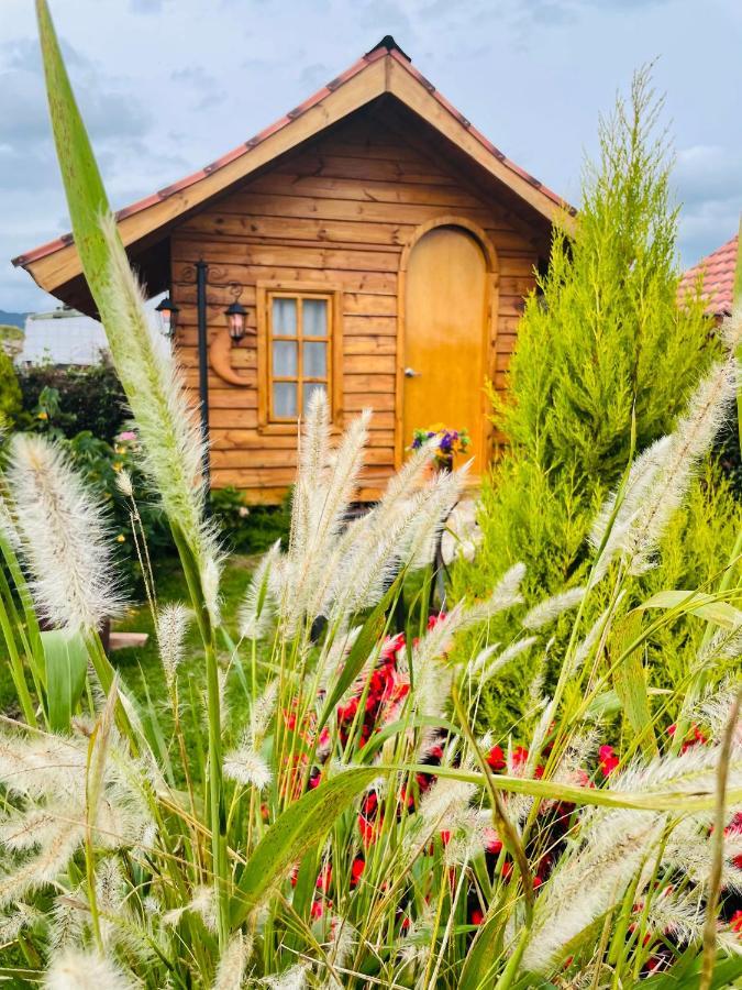 Cabanas Villa Isabel Кахика Экстерьер фото
