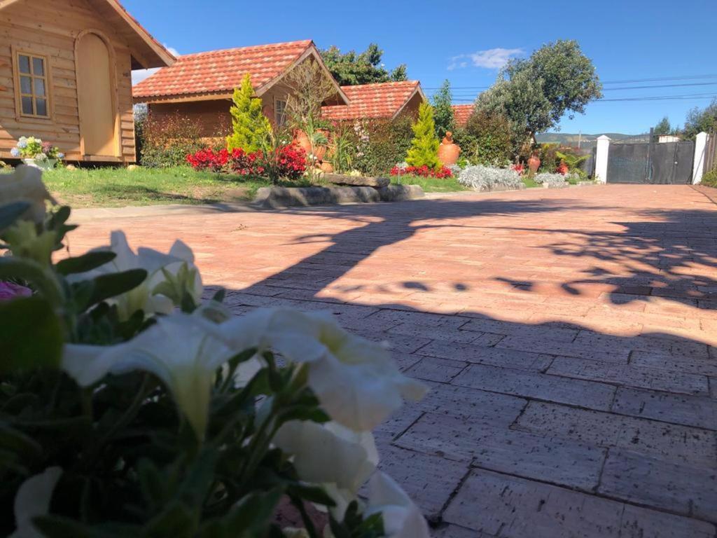 Cabanas Villa Isabel Кахика Экстерьер фото